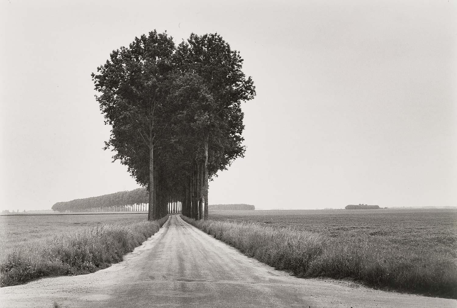 In Brie France by Henri Cartier Bresson
