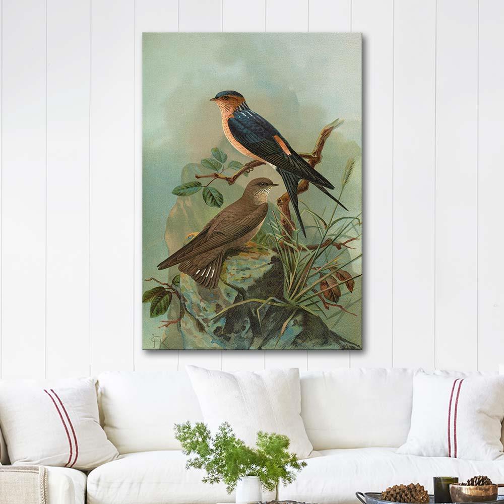 Johann Friedrich Naumann Hirundo Rufula Temm, Biblis Rupestris Kanvas Tablo