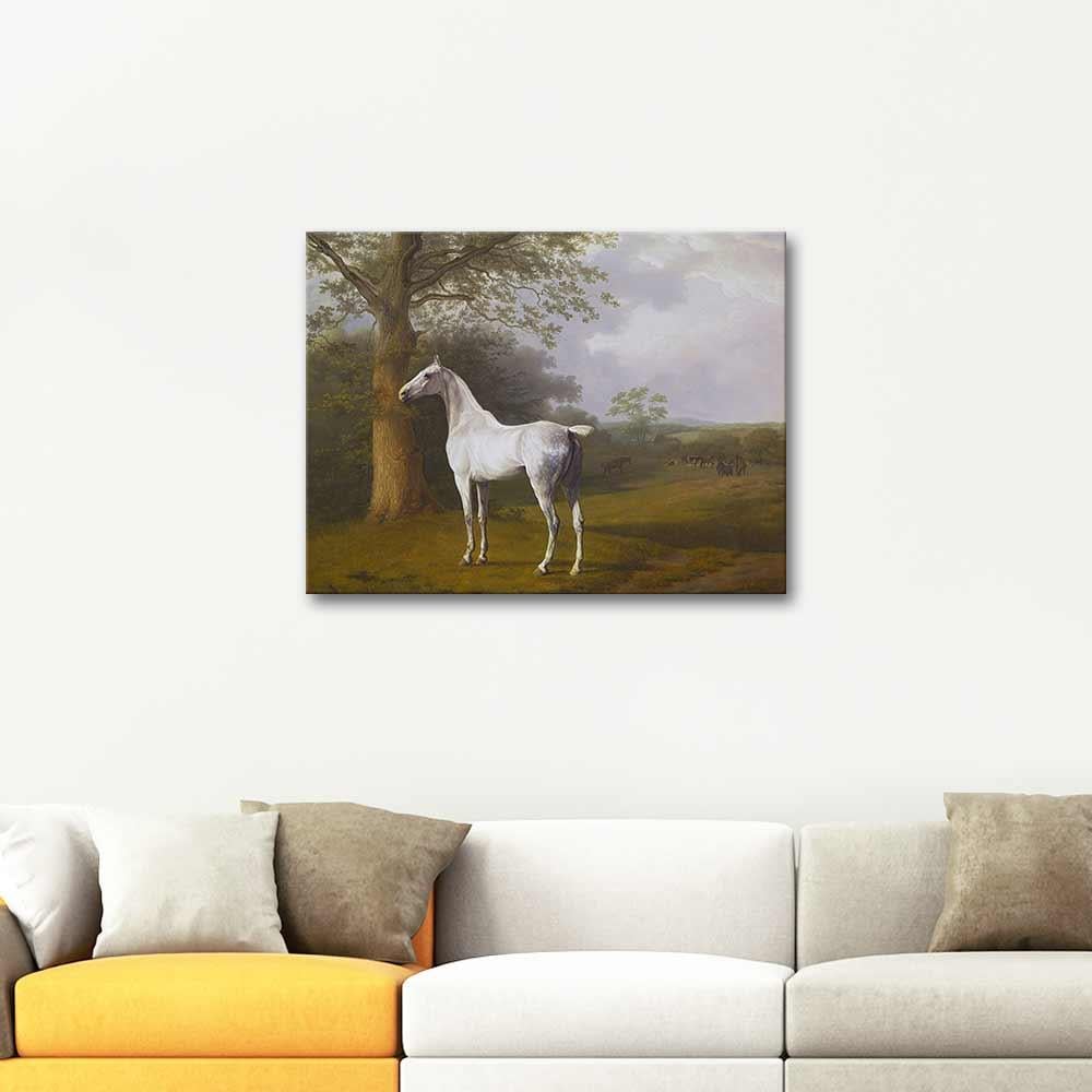 Jacques Laurent Agasse White Horse in Pasture Art Print