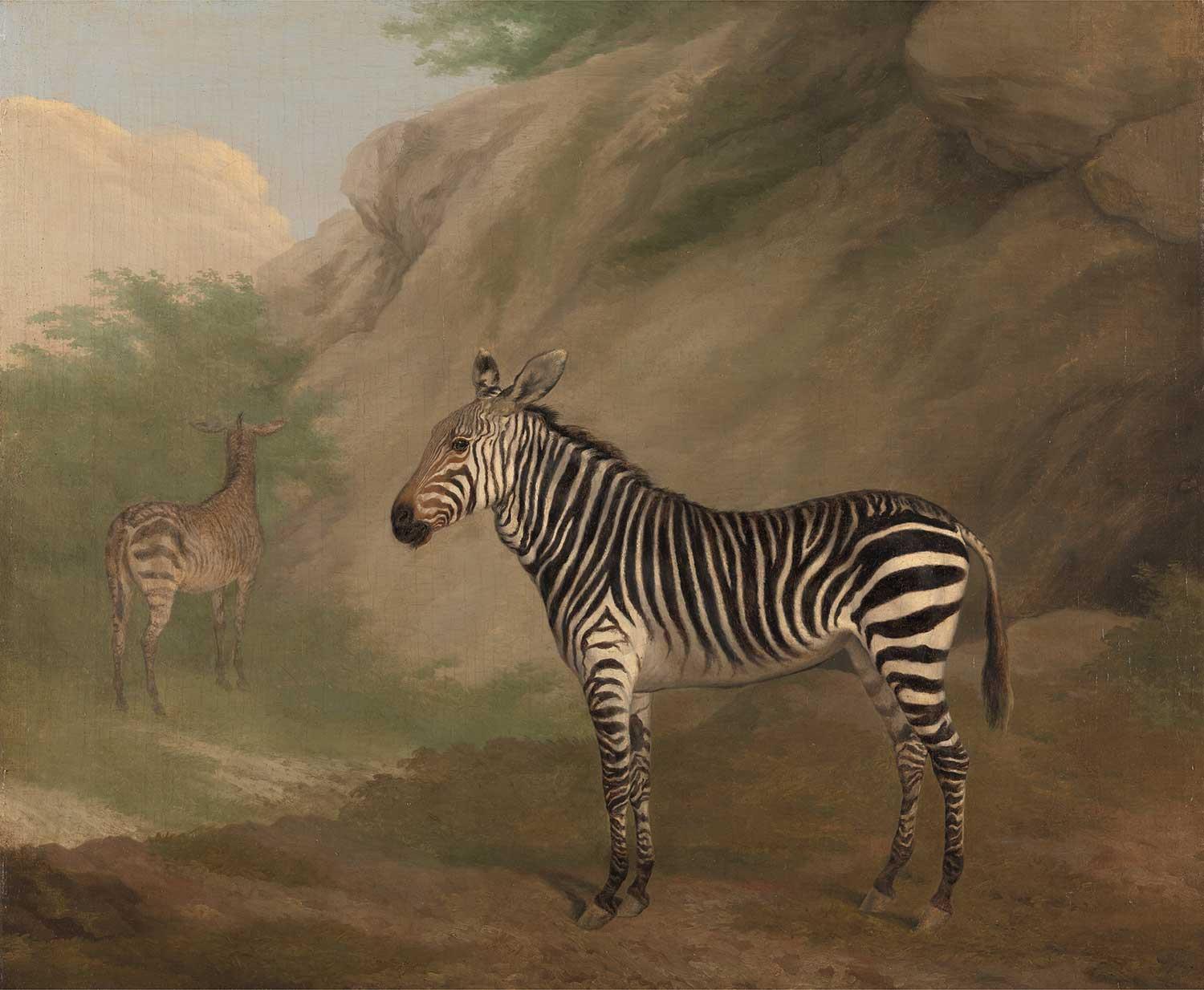 Jacques Laurent Agasse Zebra Kanvas Tablo