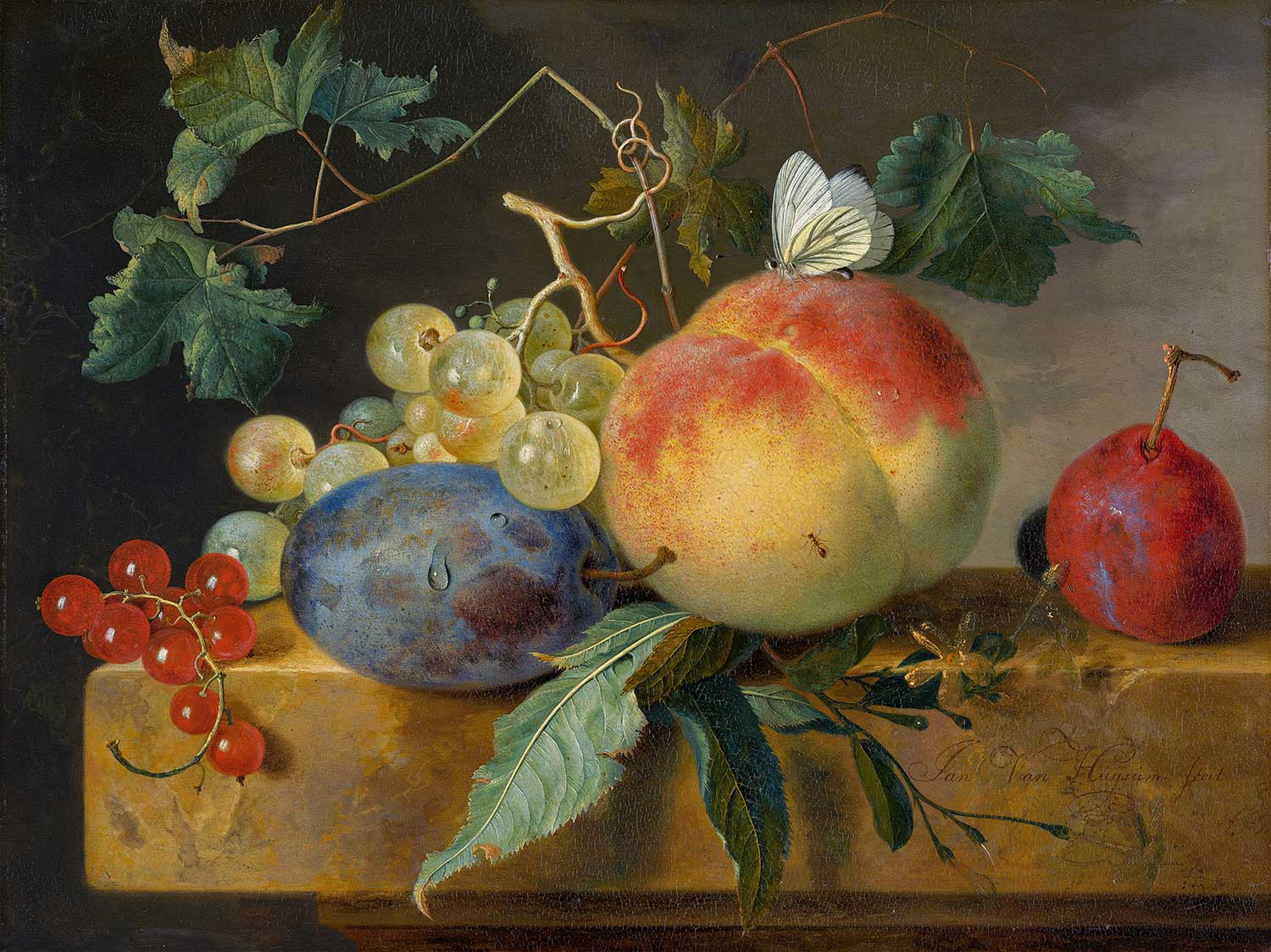 Jan van Huysum Fruit Still Life Art Print