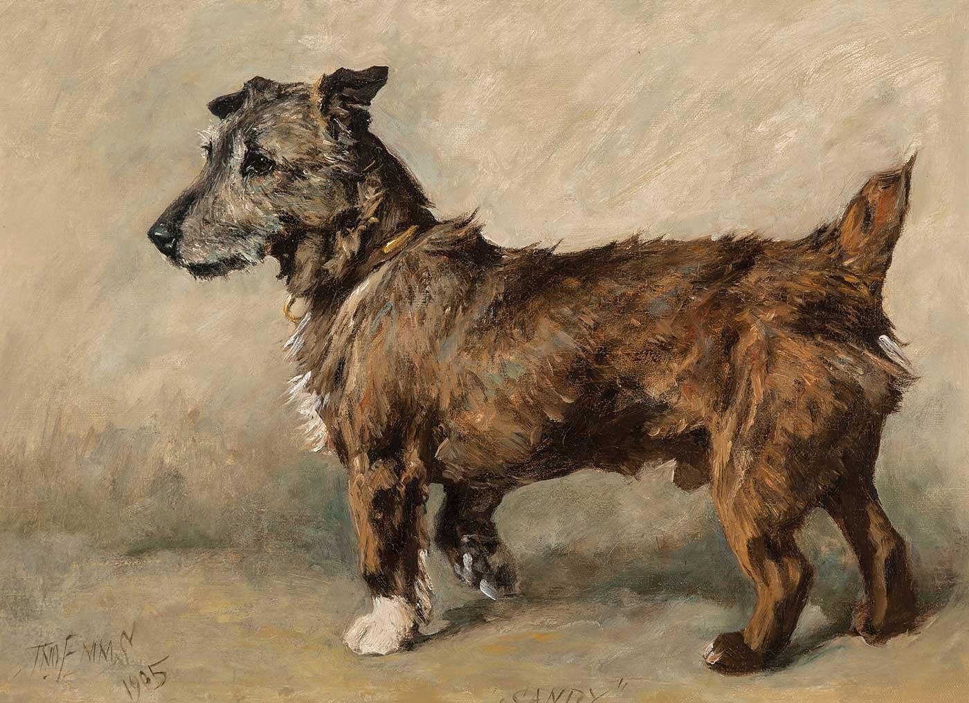 John Emms Sandy Art Print