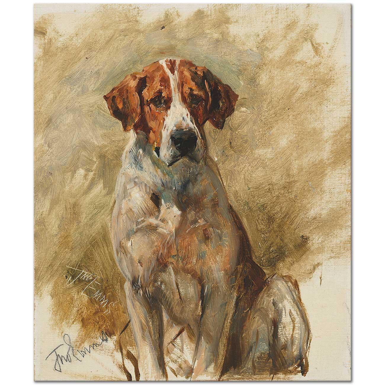 John Emms Study of a Hound Art Print