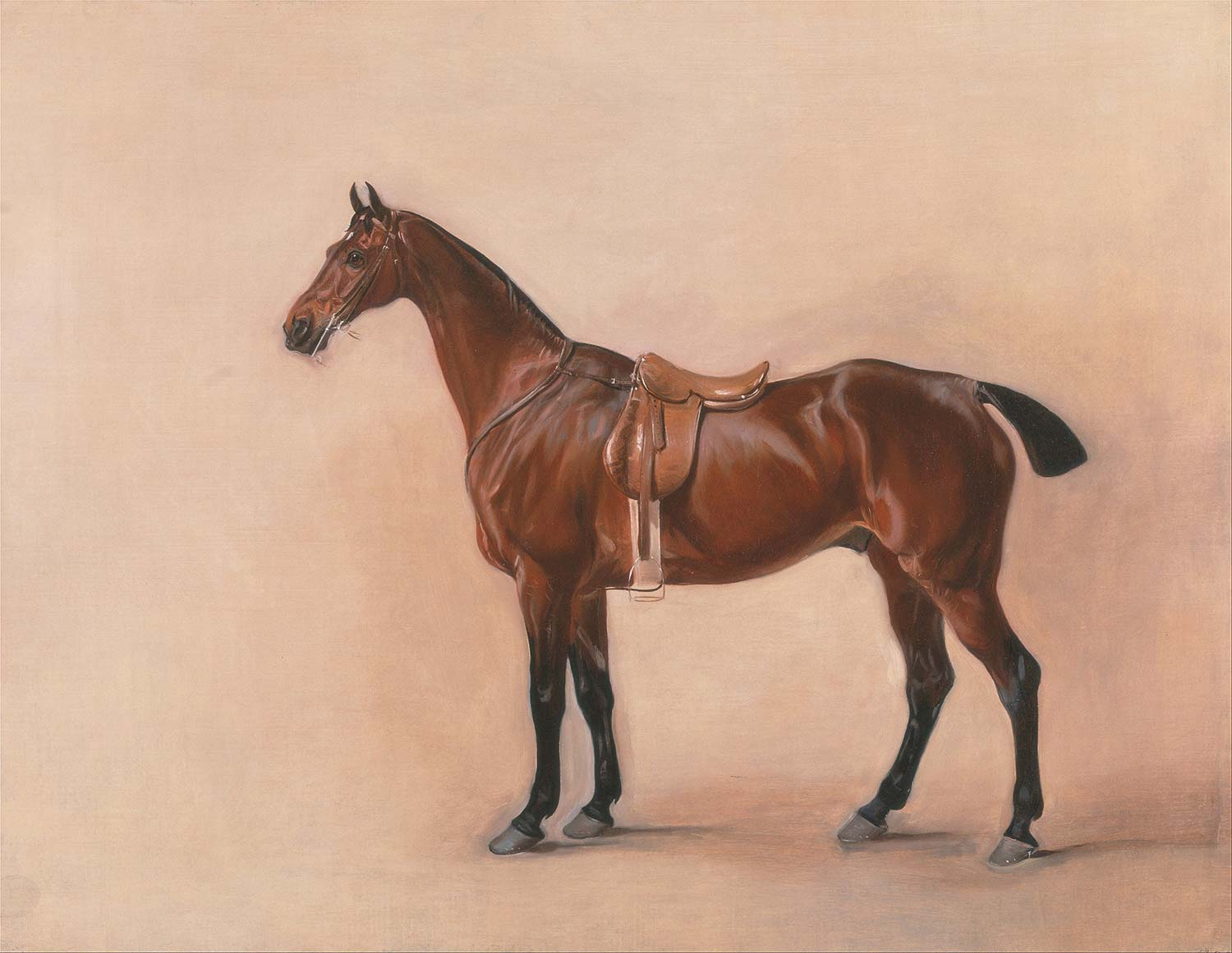 Study of a Saddled Bay Hunter by John Ferneley