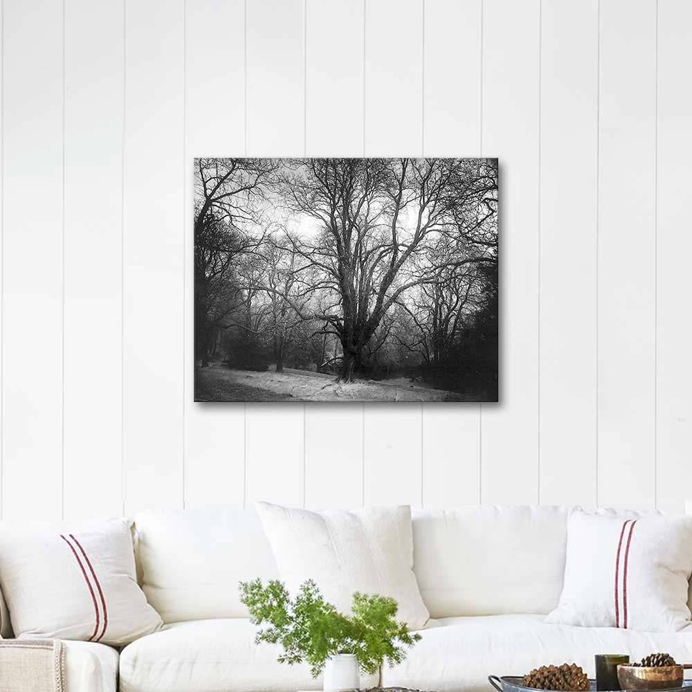 Josef Sudek Forest Art Print