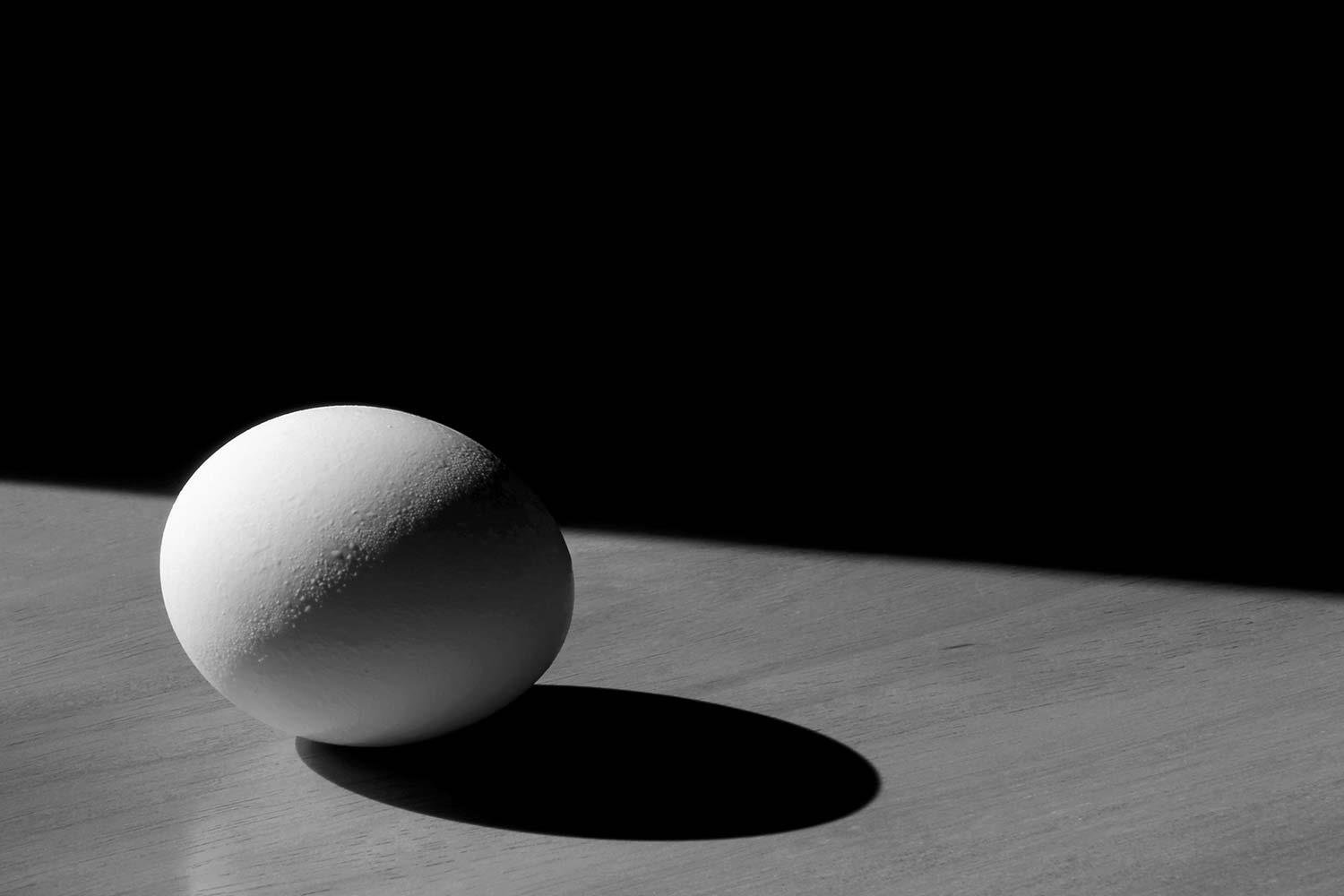 Josef Sudek İnanılmaz Yemelik Yumurta Kanvas Tablo