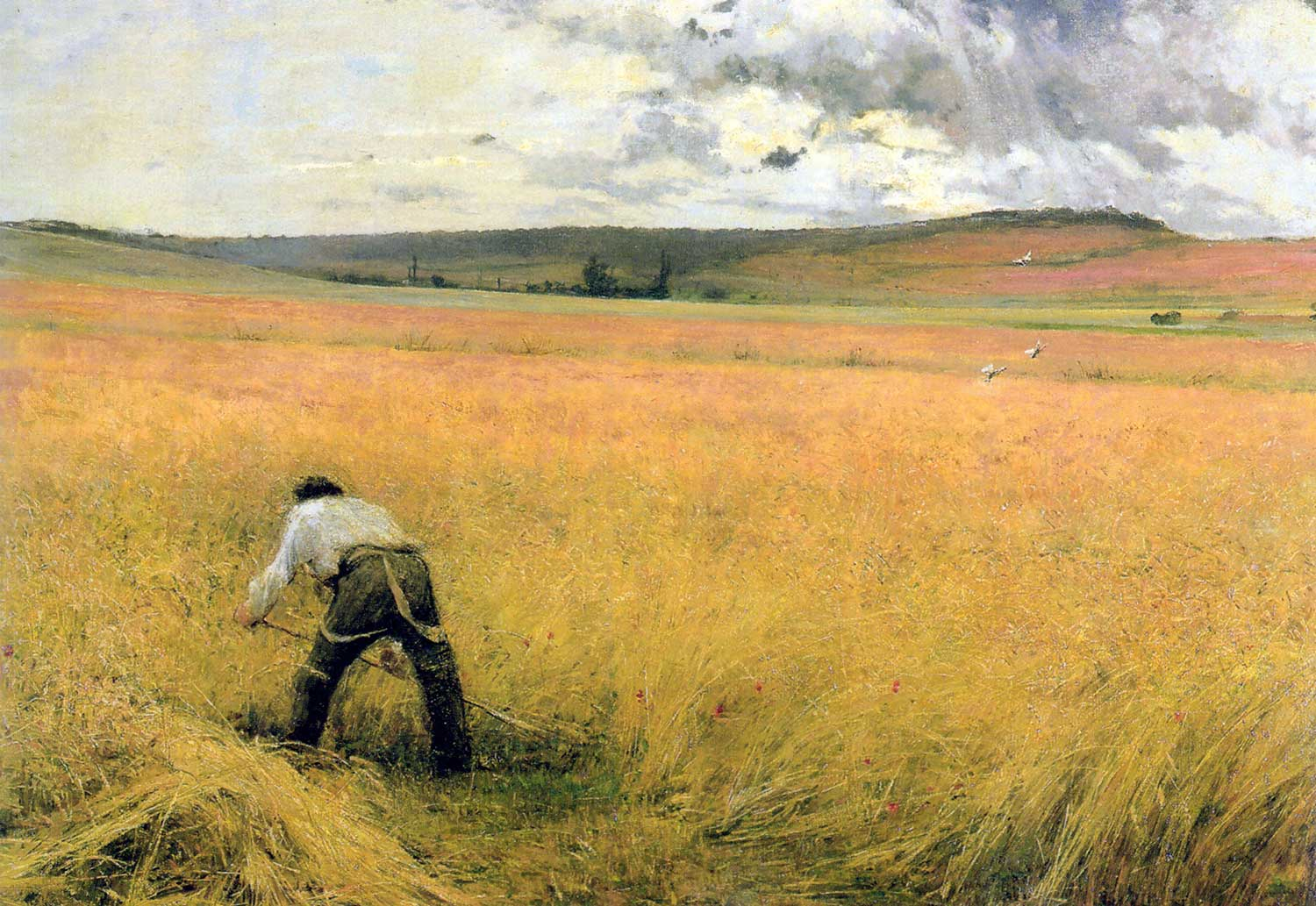 Jules Bastien Lepage Olgunlaşmış Buğdaylar Kanvas Tablo