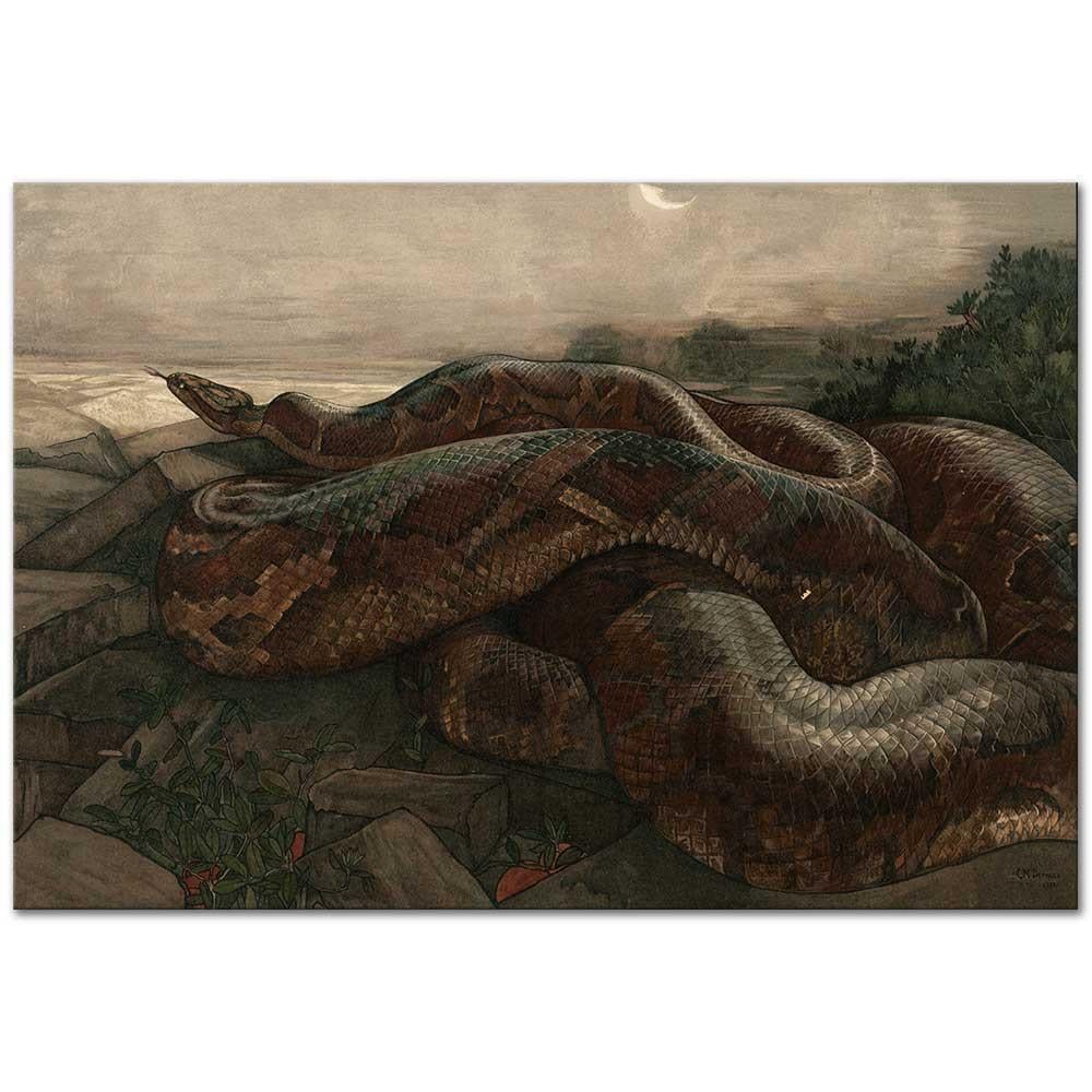 Charles Maurice Detmold Piton Kaa Kanvas Tablo