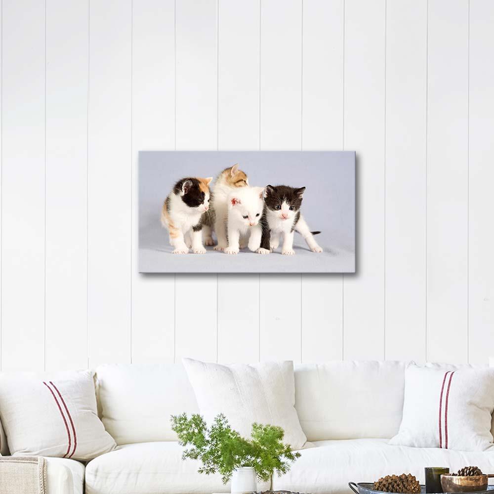 Kedi Yavruları Kanvas Tablo