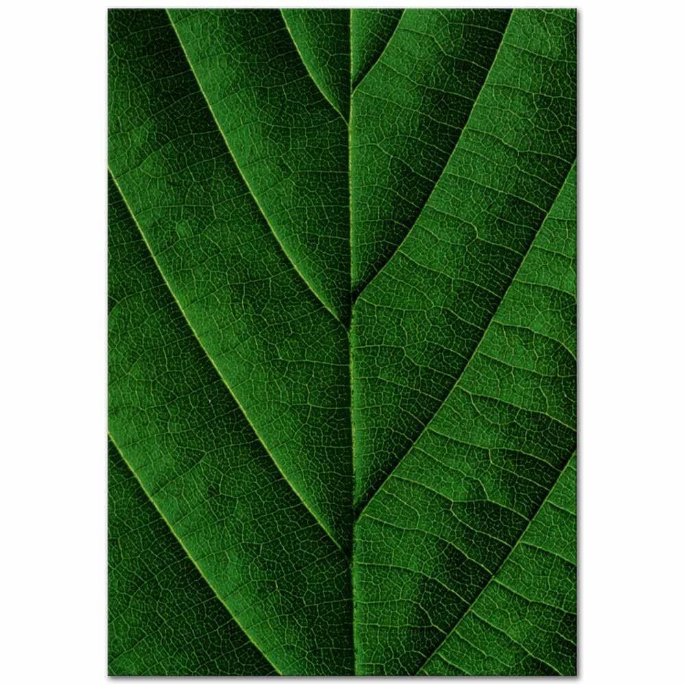Yaprak Dokusu Kanvas Tablo