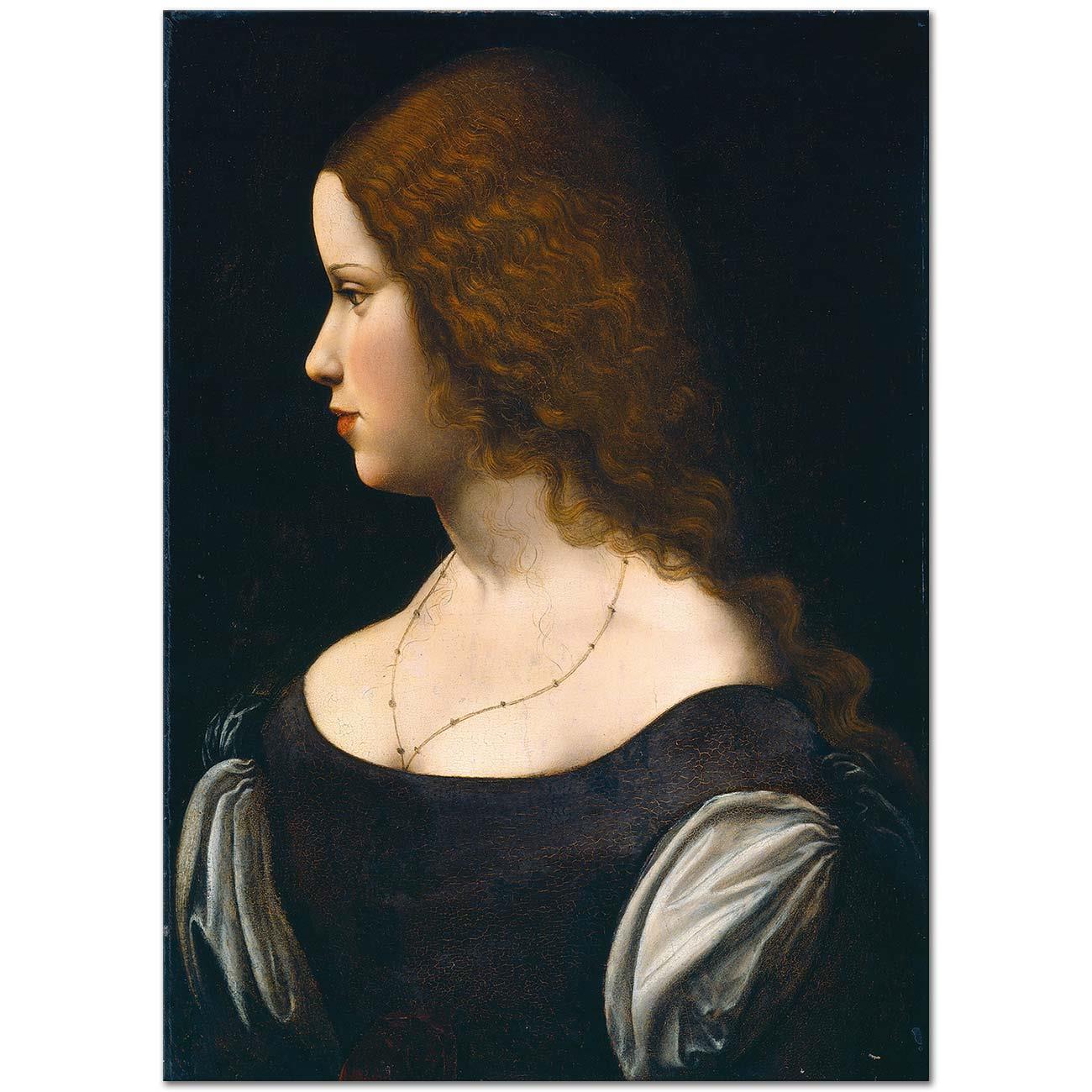 Leonardo da Vinci's Portrait of a Young Lady
