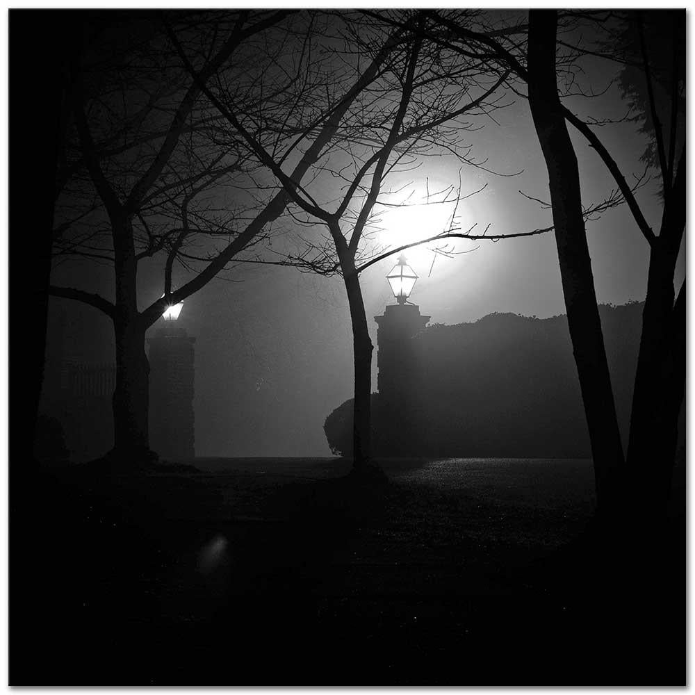 Brassai Kent Işıkları Kanvas Tablo