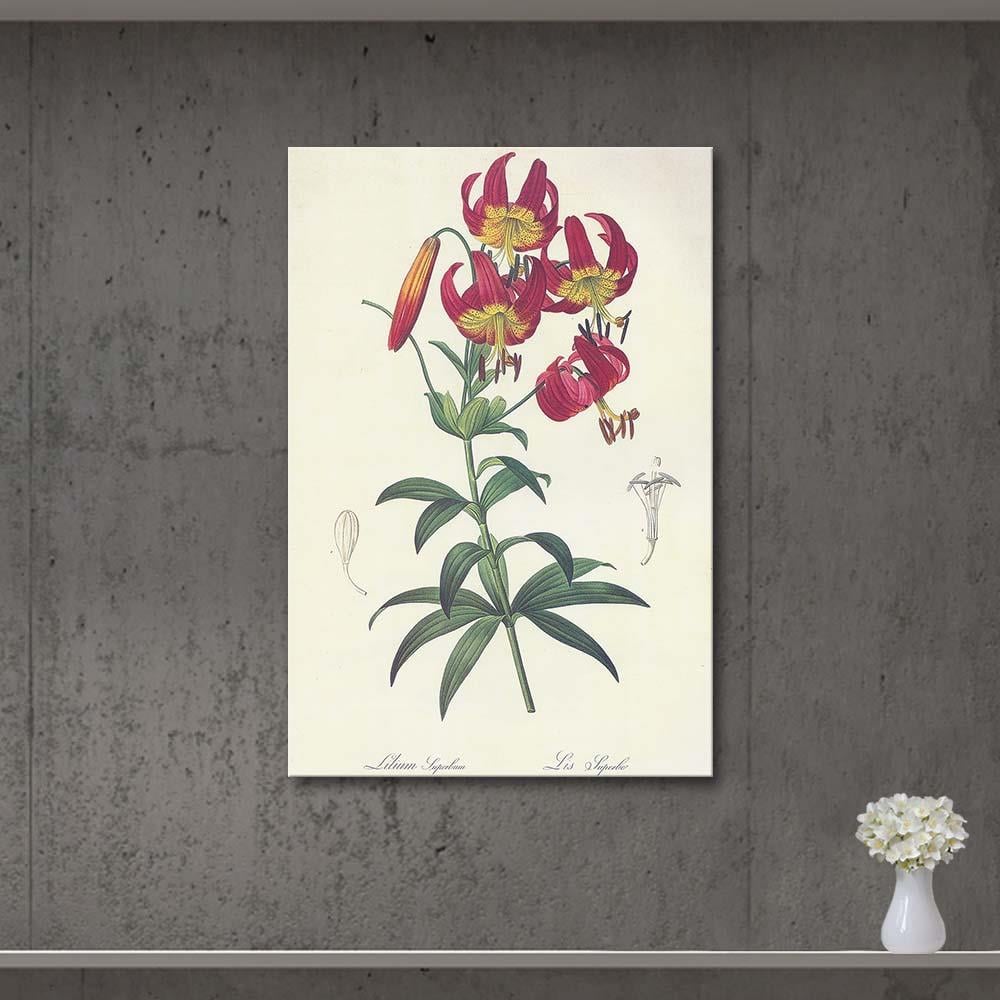 Pierre Joseph Redoute Türk Şapkası Zambağı (Lilium Superbum) Kanvas Tablo