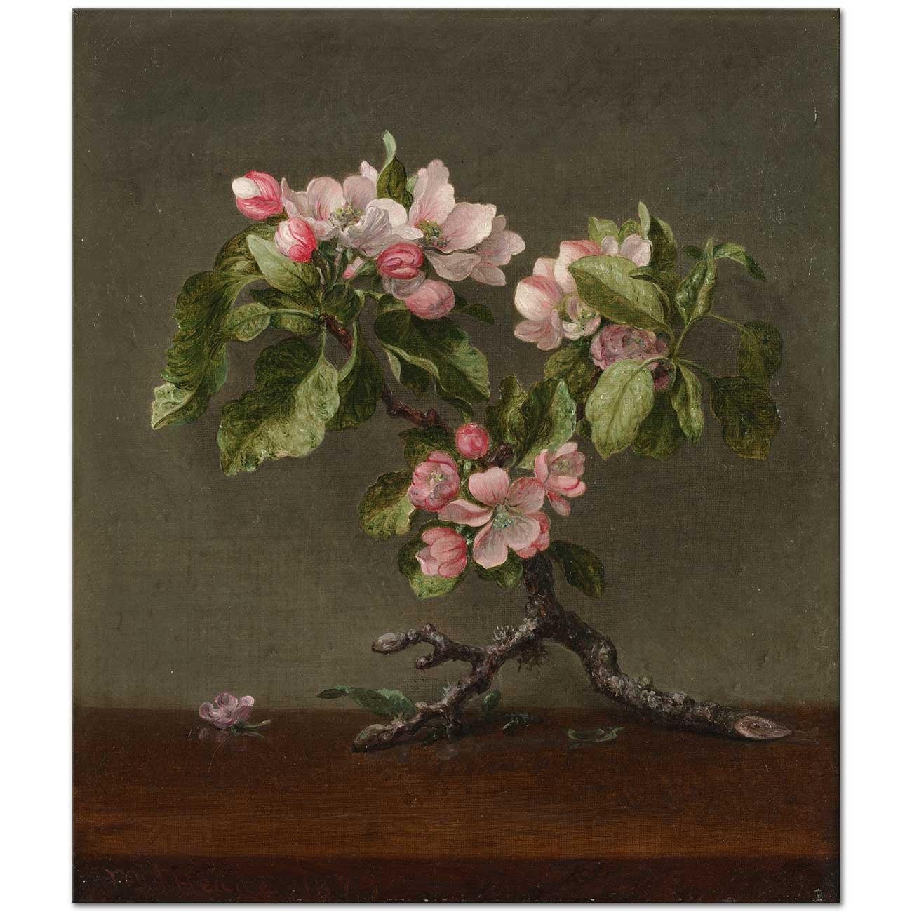 Apple Blossoms by Martin Johnson Heade