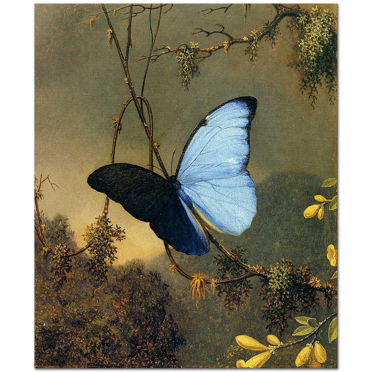 Martin Johnson Heade Mavi Kelebek Kanvas Tablo