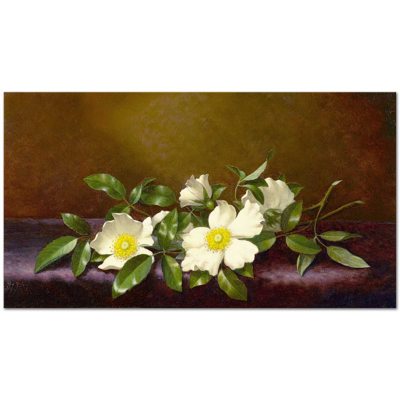 Martin Johnson Heade Cherokee Roses on a Purple Cloth Art Print