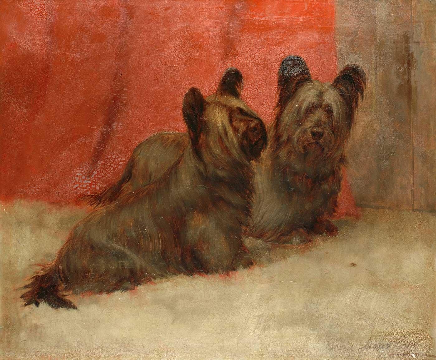 Maud Earl Portrait of two Skye Terriers Art Print