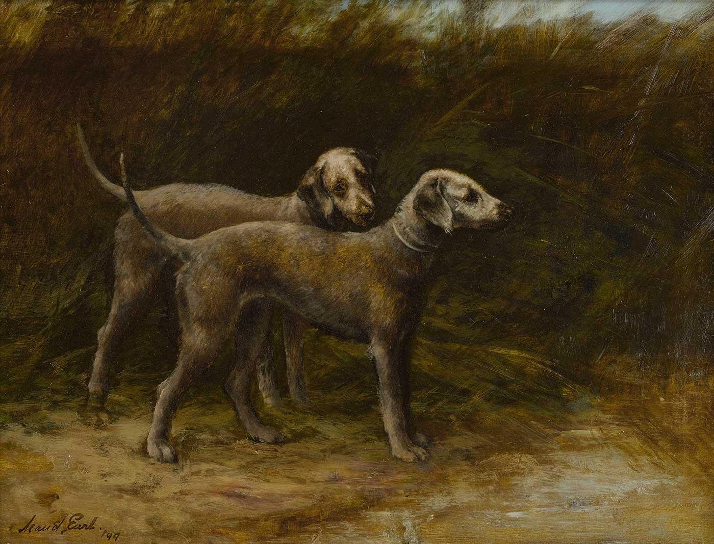 Two Bedlington Terriers by Maud Earl