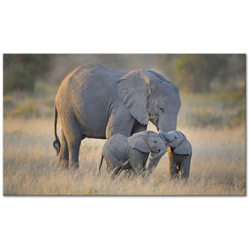 Mother And Adorable Babies as Art Print