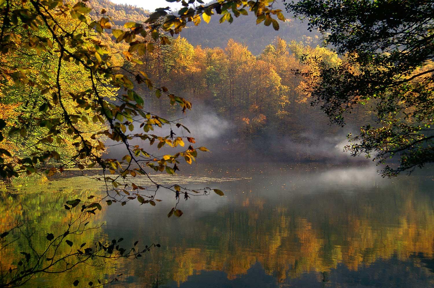 Mustafa Yılmaz Lake Landscape Bolu Art Print