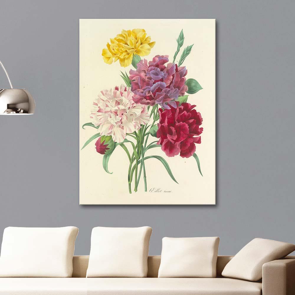 Oeillet Variete (Carnation Variety) by Pierre Joseph Redoute as Art Print