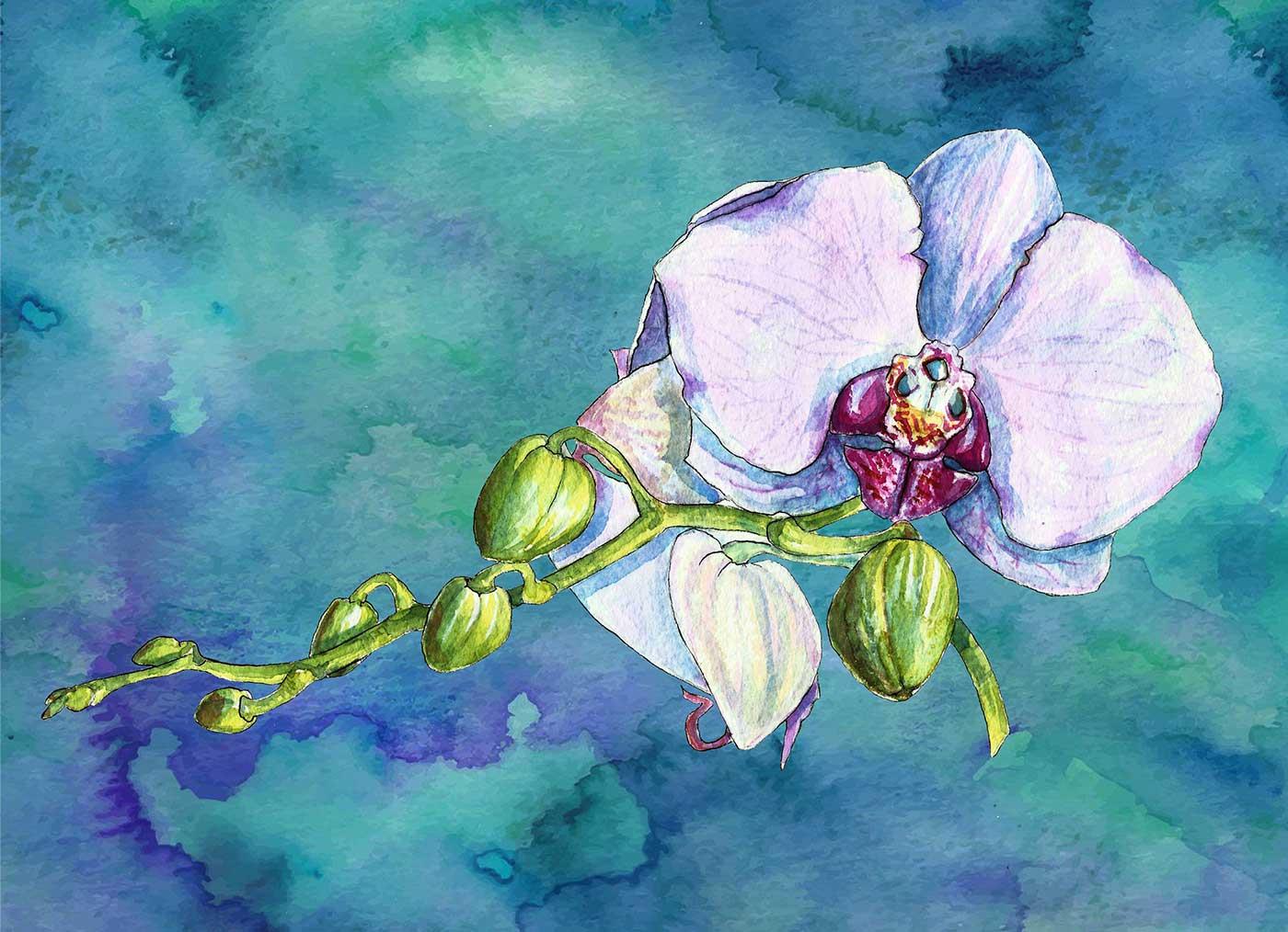 Orkide Suluboya Kanvas Tablo