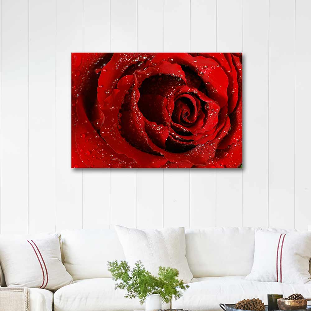 Osman Karamehmetoglu Red Rose