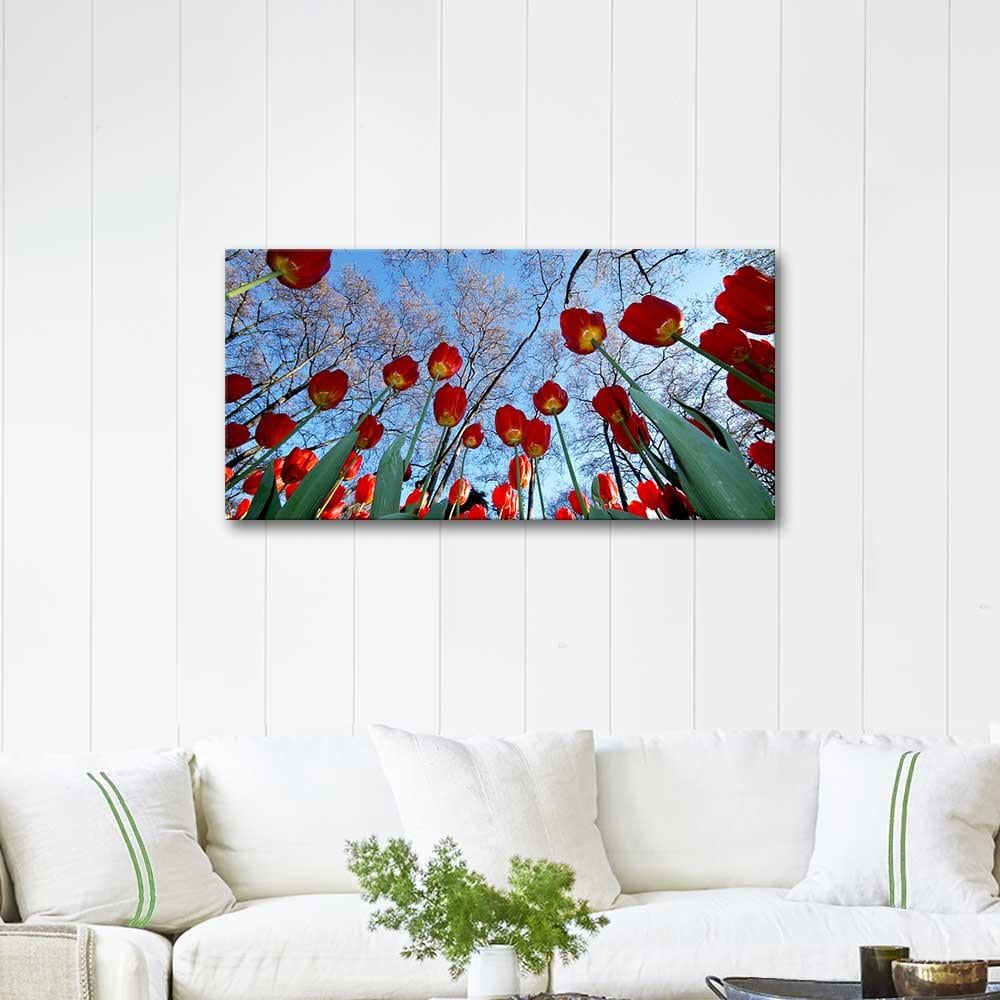 Osman Karamehmetoglu Tulip Garden Art Print