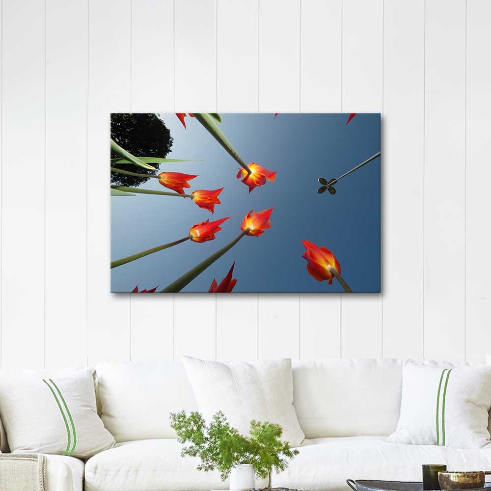 Osman Karamehmetoglu Tulips Art Print