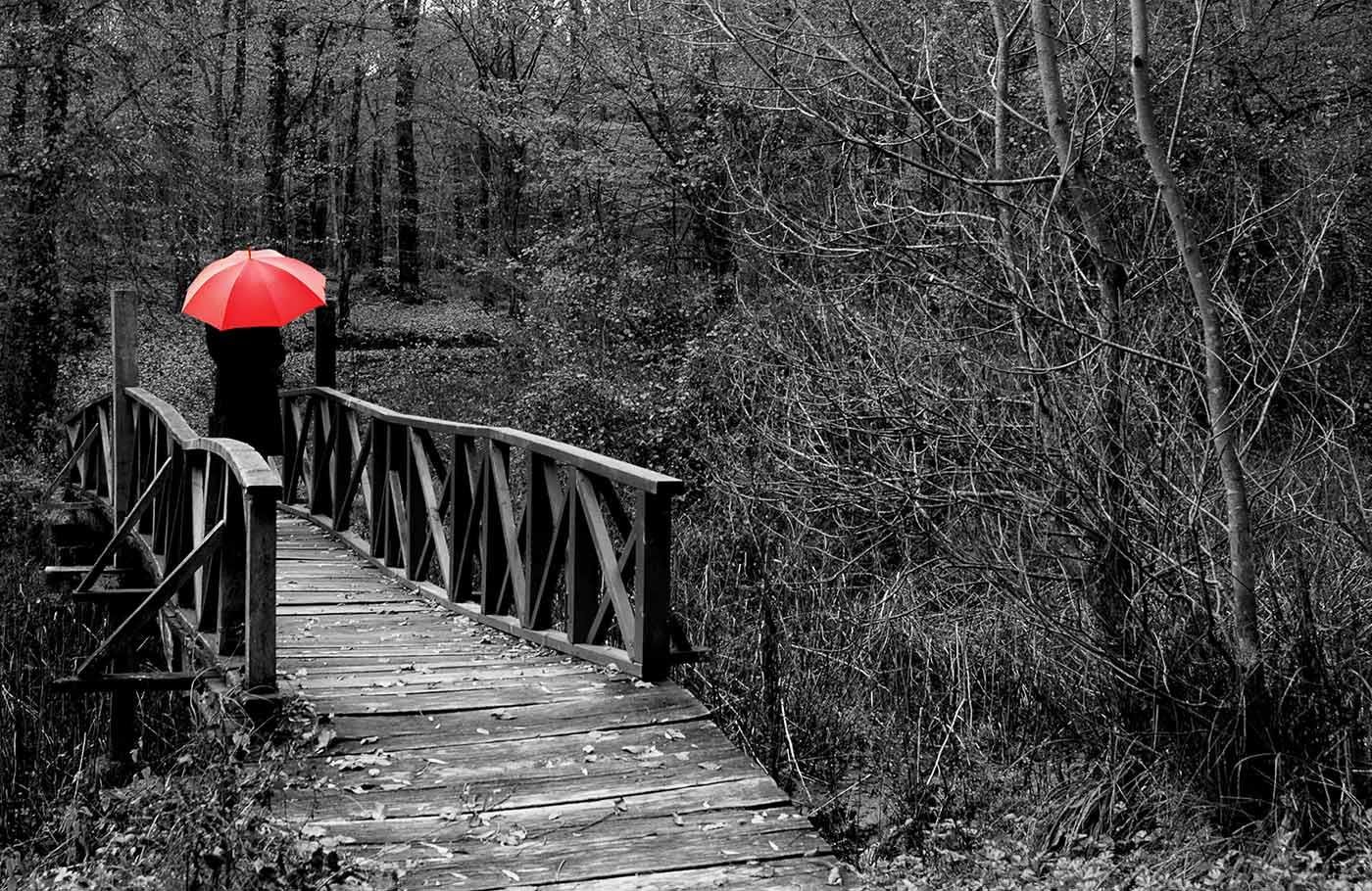 Osman Karamehmetoğlu Ormanda Huzur