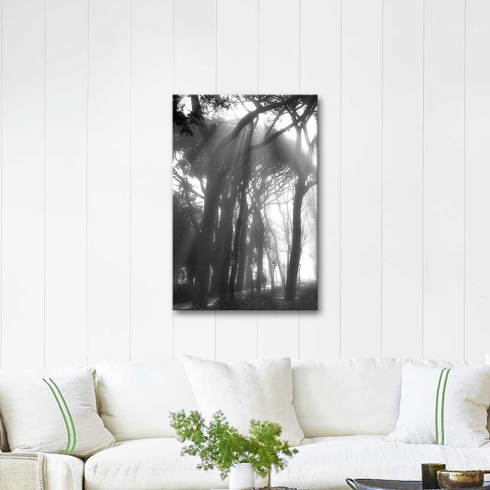 Osman Karamehmetoglu Floating Lights Art Print