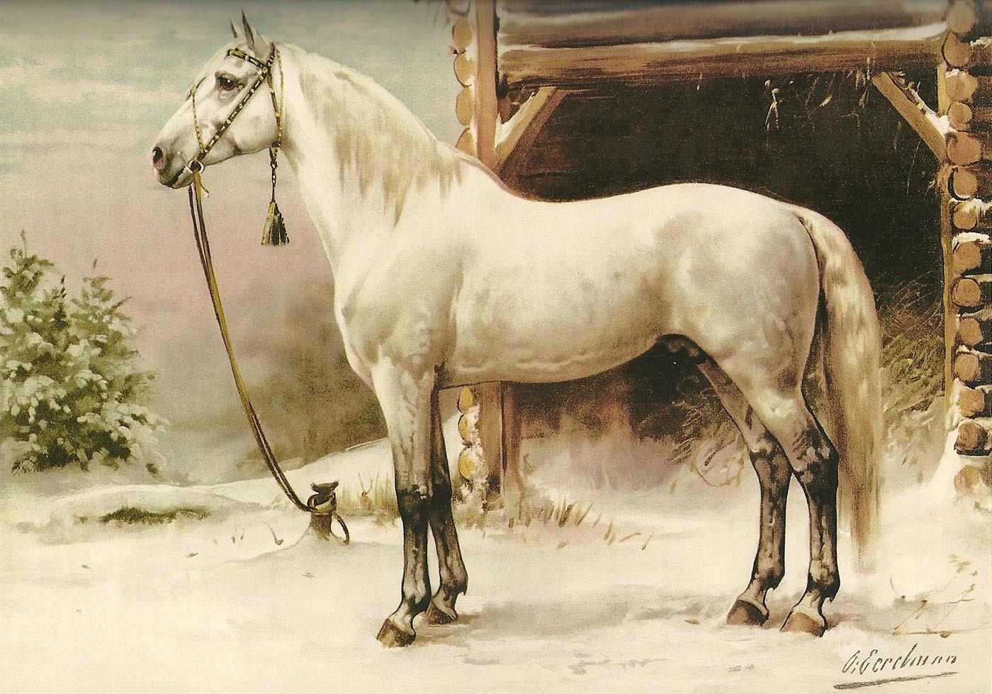 Otto Eerelman Beyaz At Kanvas Tablo