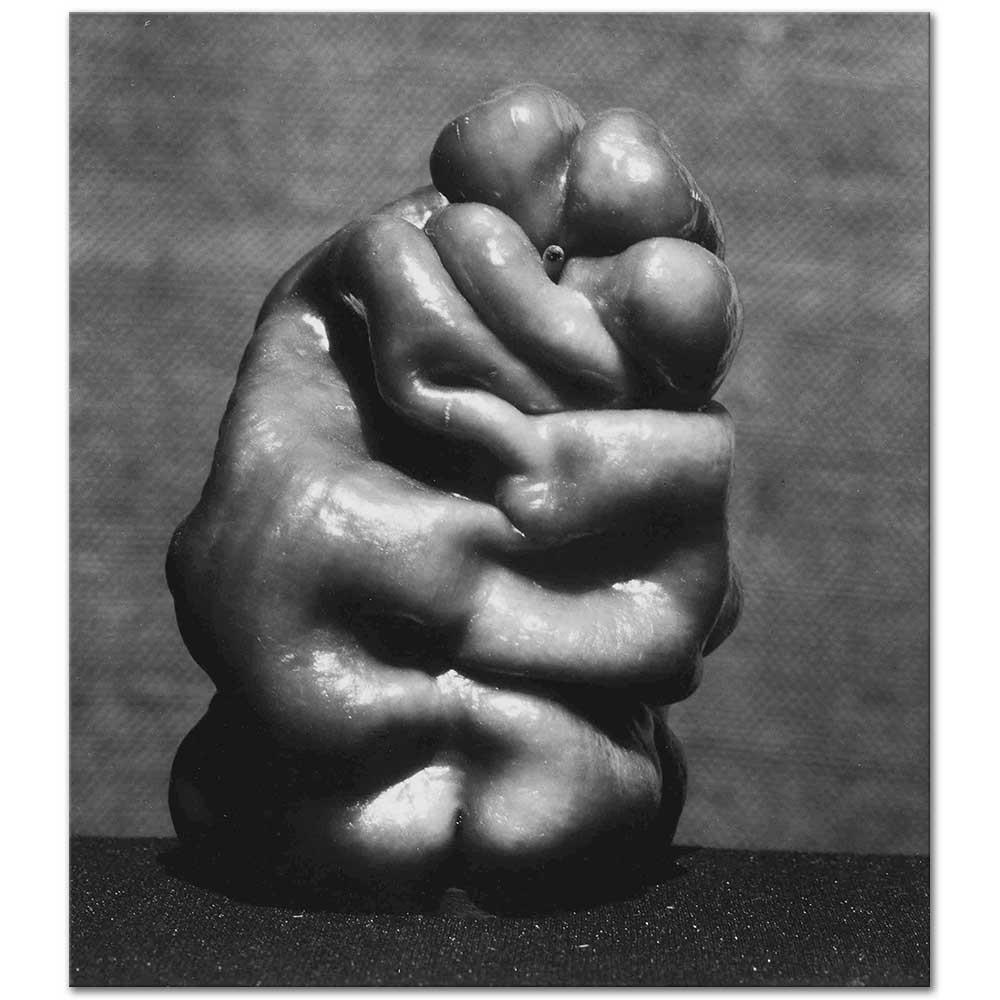 Edward Weston Biber No 14 Kanvas Tablo