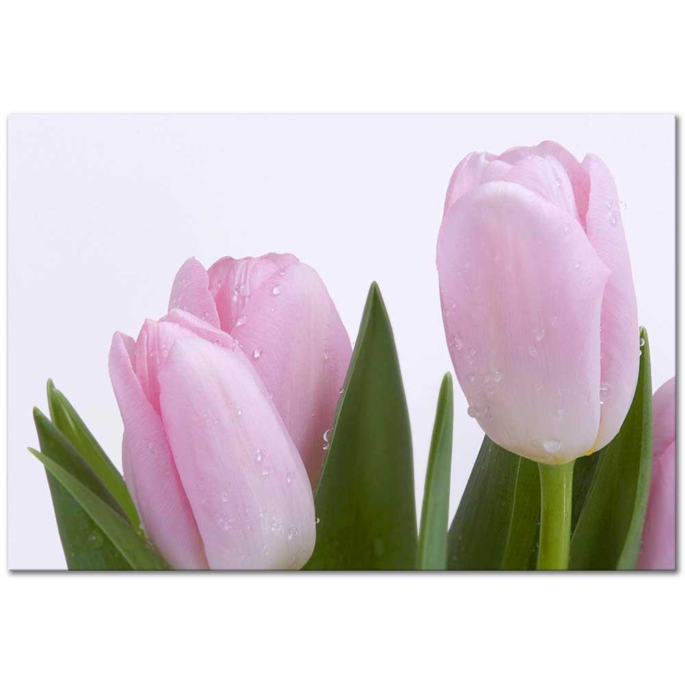 Pembe Laleler Kanvas Tablo