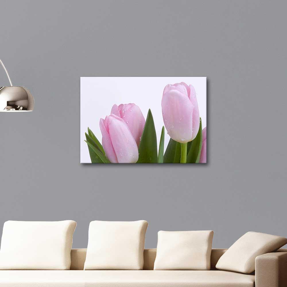 Pembe Laleler Kanvas Tablo