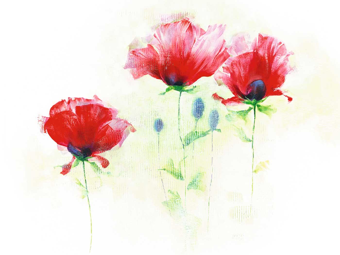 Poppies