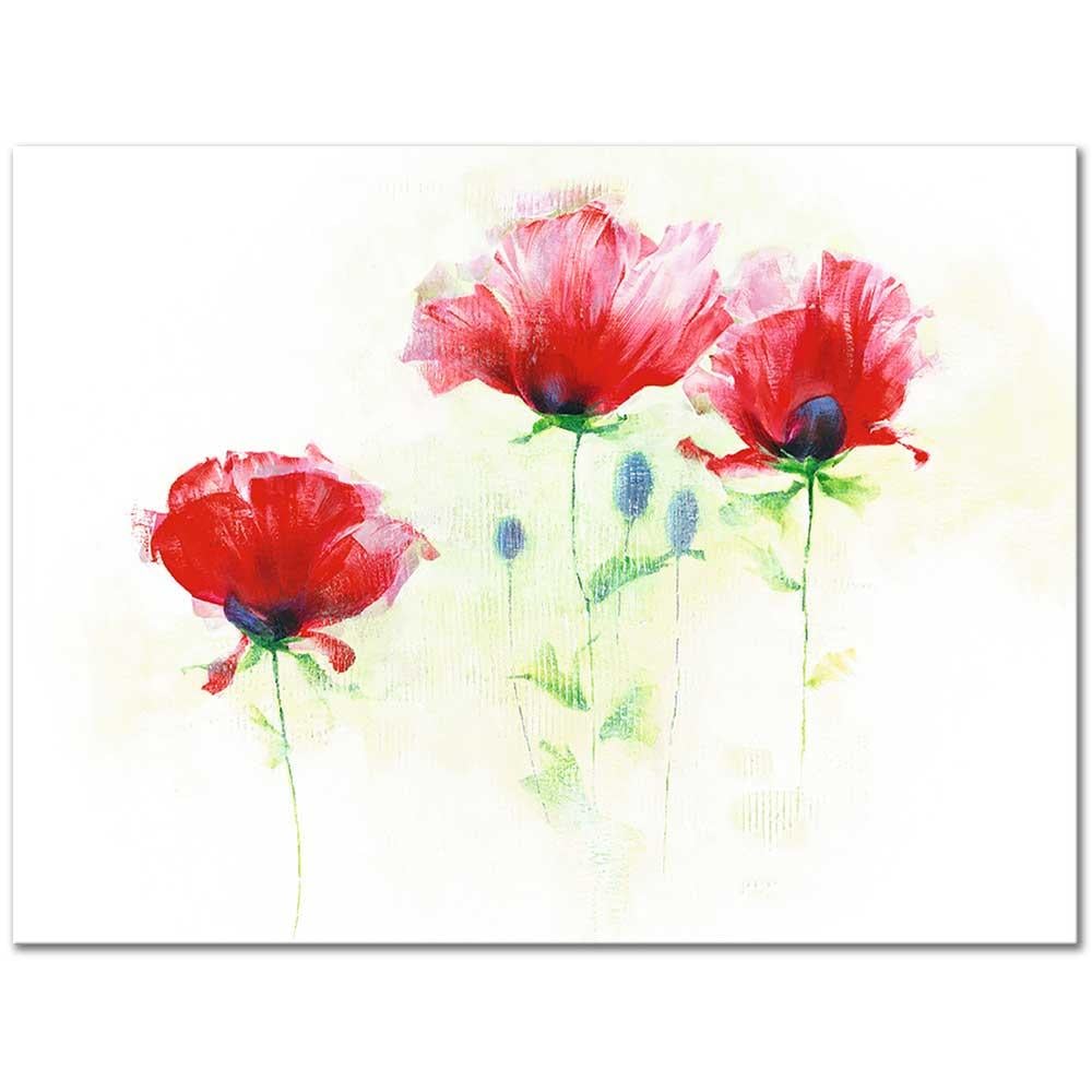 Poppies as Art Print
