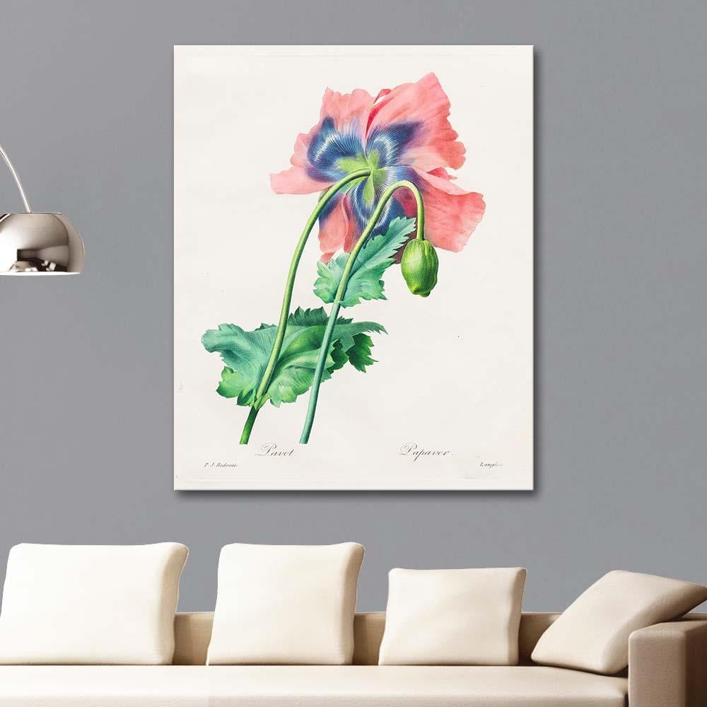 Poppy by Pierre Joseph Redoute as Art Print