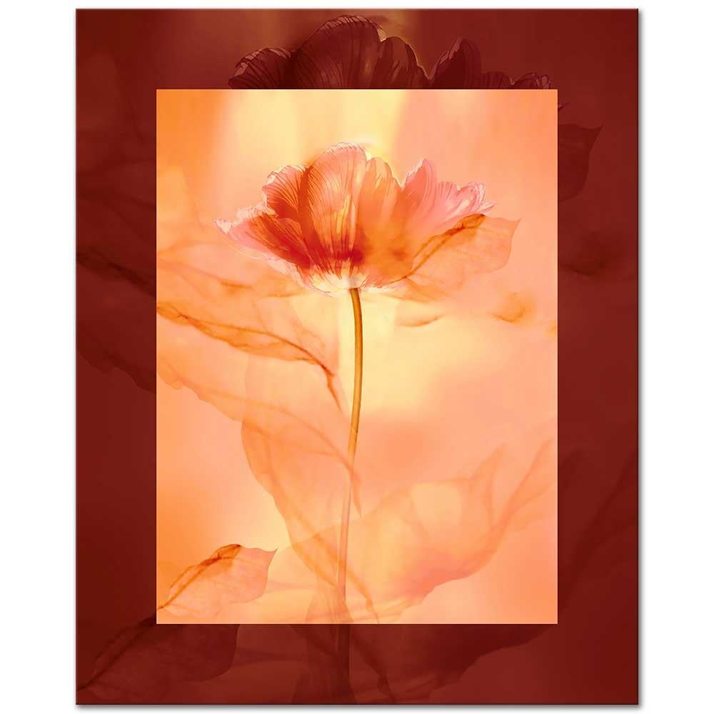 Gelincik Narinliği Kanvas Tablo