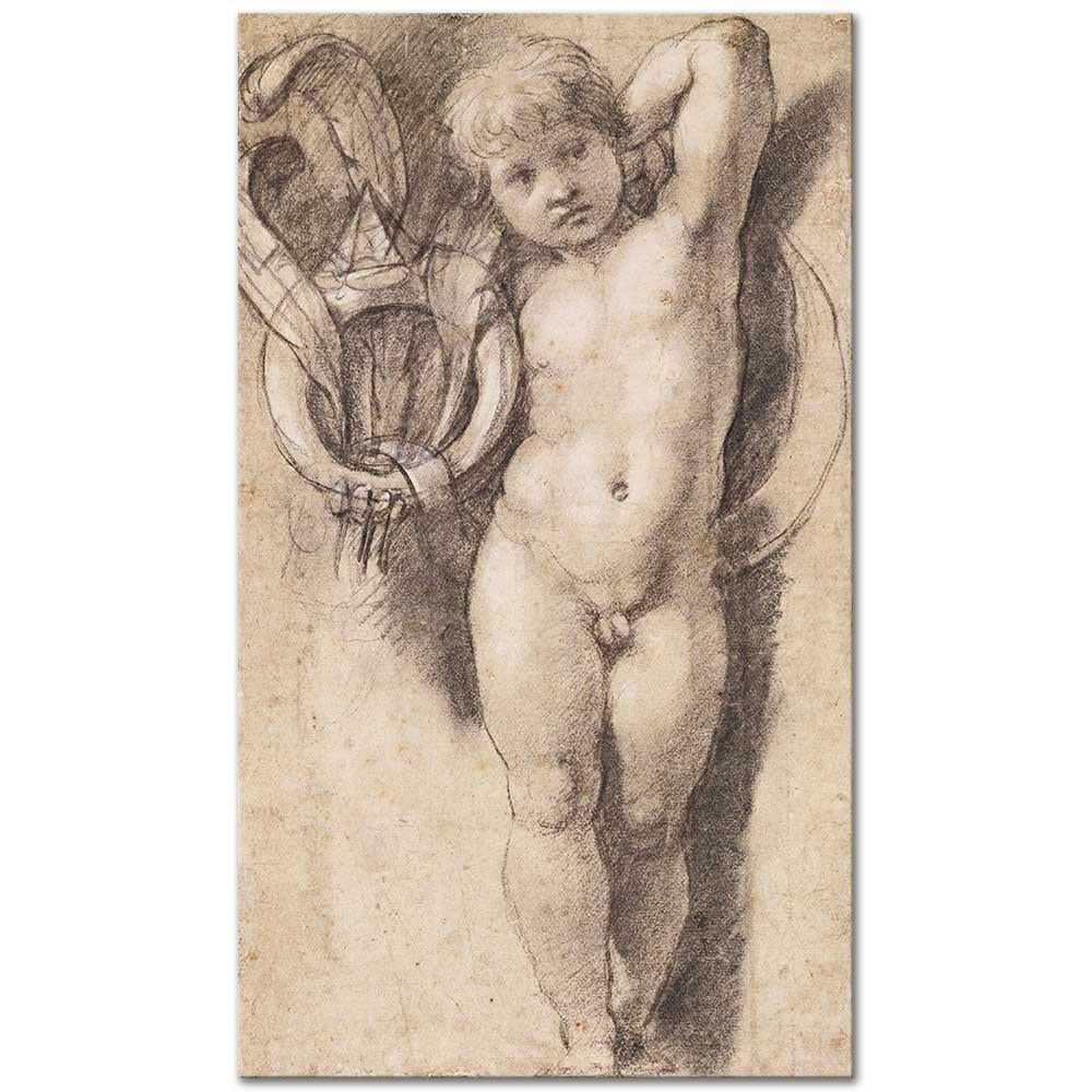Putto with Medici Symbols by Raphael