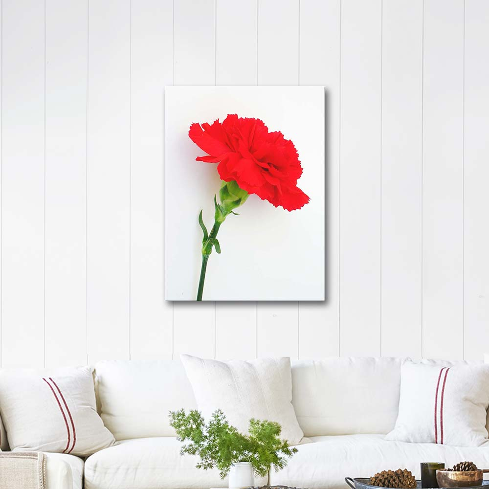 Karanfil Dianthus Kanvas Tablo