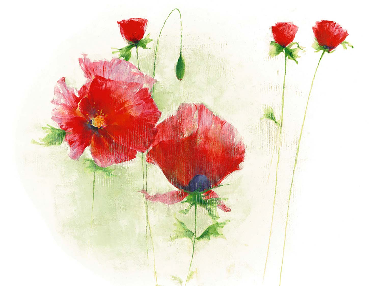 Red Poppies Bouquet Art Print
