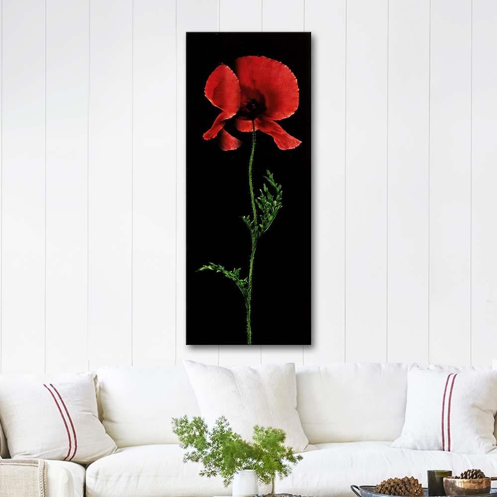 Red Poppy in Black as Art Print