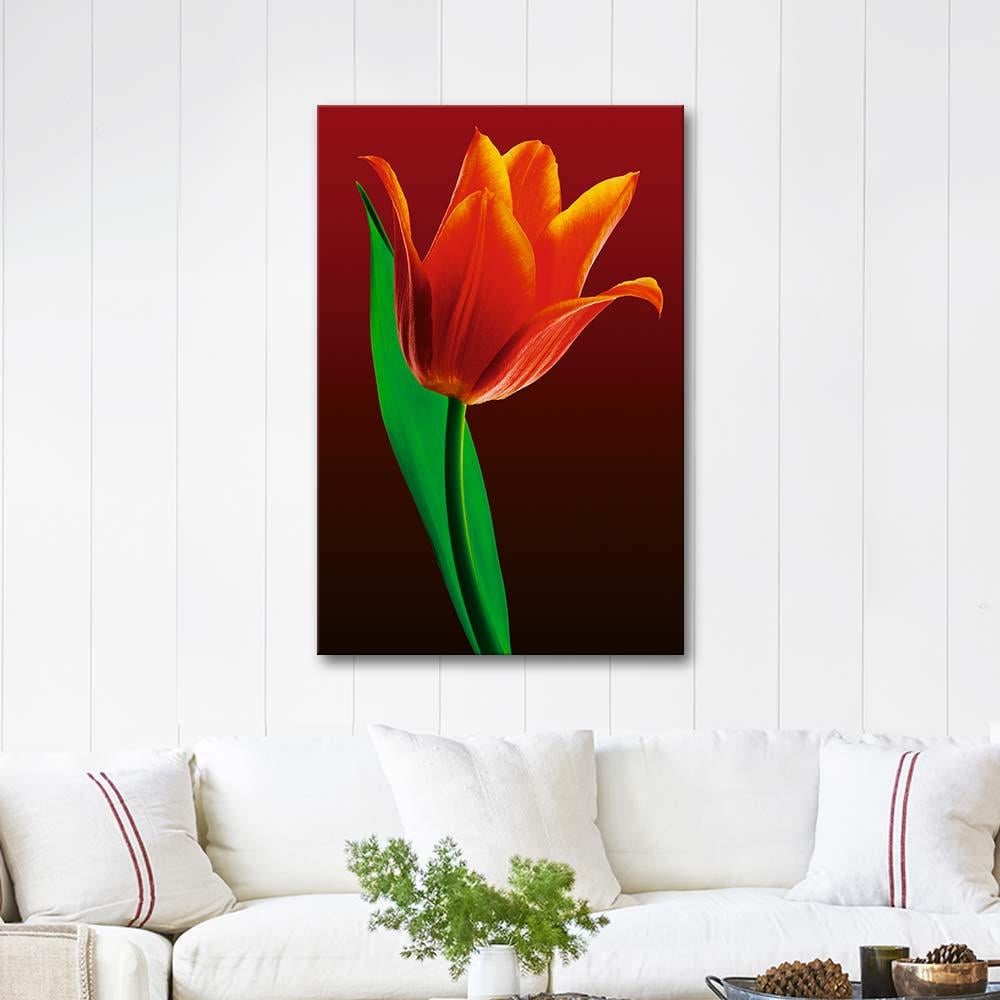 Red Tulip Art Print