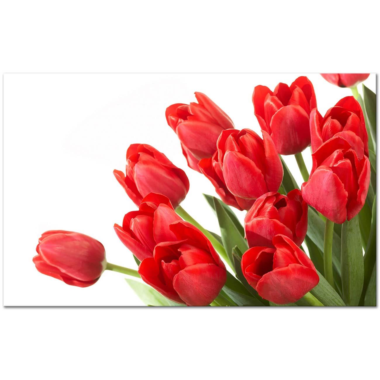 Red Tulip Bundle Art Print