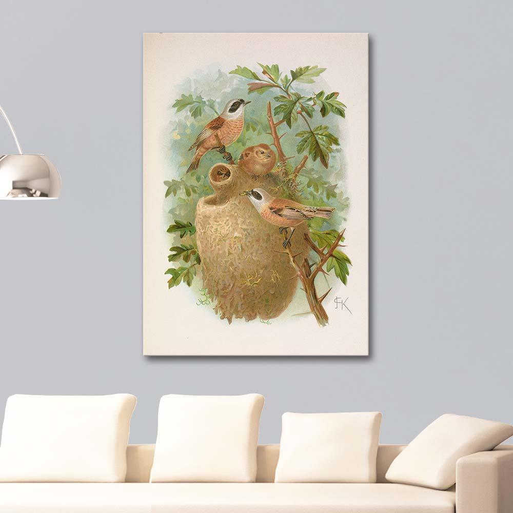 Johann Friedrich Naumann Remizus Pendulinus - Çulha Kuşu Kanvas Tablo