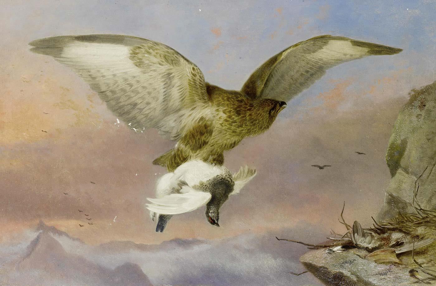 Richard Ansdell Şahin Kar Tavuğunu Götürürken Kanvas Tablo