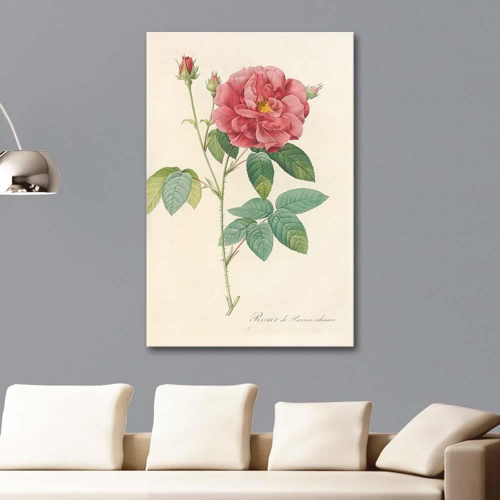 Pierre Joseph Redoute Kırmızı Frenk Gülü Kanvas Tablo