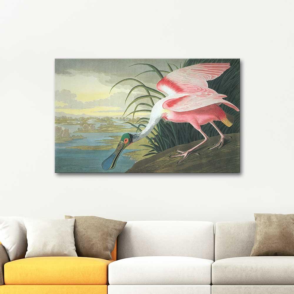 Roseate Spoonbill by John James Audubon as Art Print