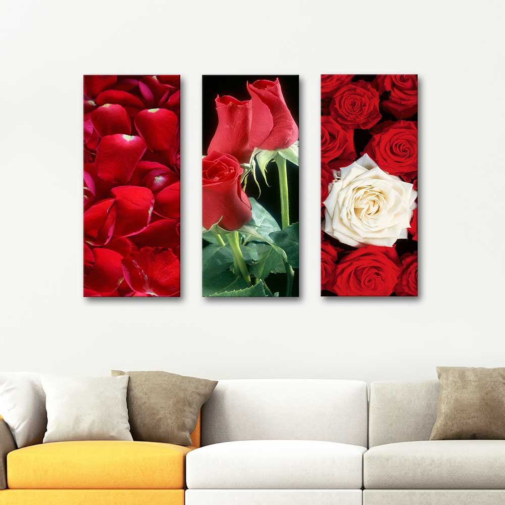 Roses Composition Canvas Set Art Print